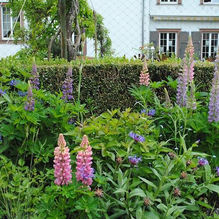 La Vieille Eglise Bed & Breakfast Le Hohwald Luaran gambar