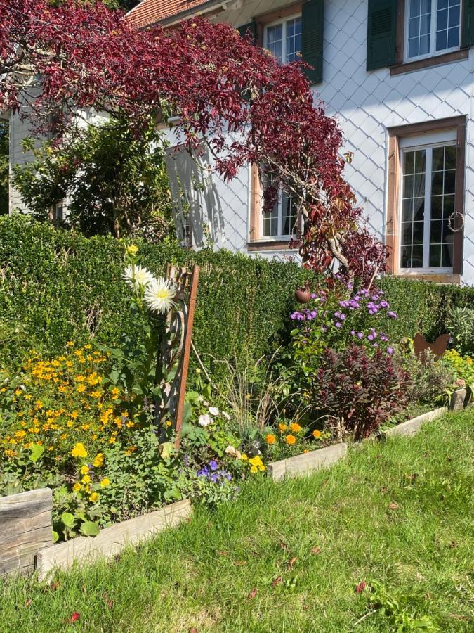 La Vieille Eglise Bed & Breakfast Le Hohwald Luaran gambar